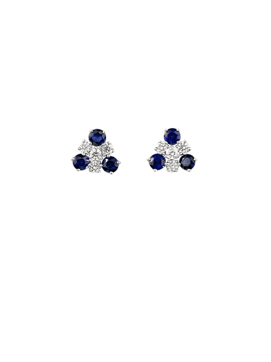 [EA1007591] Sapphire Diamond Earring